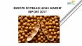 24 Market Reports: Europe Soybean Hulls Market Report 2017 PowerPoint PPT Presentation