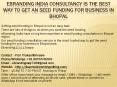 eBranding India Consultancy is the Best Way to Get an Seed Funding for Business in Bhopal PowerPoint PPT Presentation
