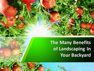 The Many Benefits of Landscaping In Your Backyard