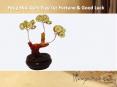 Feng Shui Coin Tree for Fortune & Good Luck PowerPoint PPT Presentation