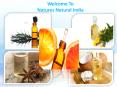 Best Essential oils suppliers in India PowerPoint PPT Presentation