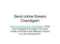 Send online flowers Chandigarh PowerPoint PPT Presentation