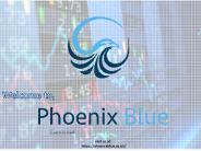 Phoenix Blue Trading training in Bergen