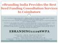 . eBranding India Provides the Best Seed Funding Consultation Services In Coimbatore PowerPoint PPT Presentation