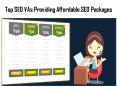 Top SEO VAs Offers Affordable SEO Services PowerPoint PPT Presentation