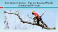 Tree Removal Services - Tips and Reasons Why the Investment is Worth It PowerPoint PPT Presentation