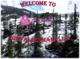 Top 8 #adventure activities in Manali - himvalleymanali PowerPoint PPT Presentation