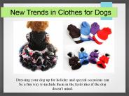 New Trends in Clothes for Dogs