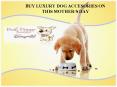 BUY LUXURY DOG ACCESORIES ON THIS MOTHER'S DAY