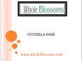 Vuvuzela Rose – www.wholeblossoms.com PowerPoint PPT Presentation