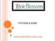 Vuvuzela Rose – www.wholeblossoms.com
