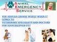 Veterinary Doctors PowerPoint PPT Presentation