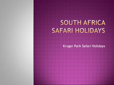 South Africa Safari Holidays