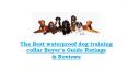 The best waterproof dog training collar buyer’s guide ratings & reviews PowerPoint PPT Presentation