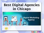Best digital agencies in chicago