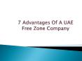 7 Main Advantage of free zone companies in UAE - free zone business setup in Dubai. PowerPoint PPT Presentation