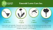 Schaumburg Lawn Care Services