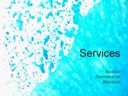 Boston Commercial Services (1)