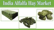 India Alfalfa Hay Market