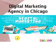 Digital Marketing Agency in Chicago