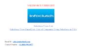 Salesforce CRM Users List