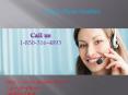 Why do we have to dial at Google Phone Number? 1-850-316-4893 PowerPoint PPT Presentation
