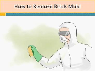 How to Remove Black Mold at your Home?