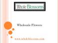 Wholesale Flowers – Whole Blossoms PowerPoint PPT Presentation
