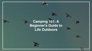 Camping 101- A Beginner's Guide to Life Outdoors