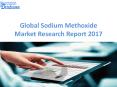 Worldwide Sodium Methoxide Market Manufactures and Key Statistics Analysis 2017 PowerPoint PPT Presentation