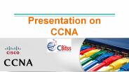 ccna training in chandigarh