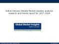 Active Calcium Silicate Industry Analysis Research And Trends Report For 2017-2024 PowerPoint PPT Presentation