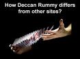 how deccanrummy differs form other sites PowerPoint PPT Presentation