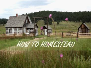 Homestead