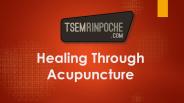Healing Through Acupuncture