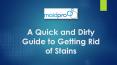 A Quick and Dirty Guide to Getting Rid of Stains PowerPoint PPT Presentation