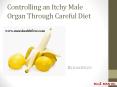 Controlling an Itchy Male Organ Through Careful Diet PowerPoint PPT Presentation