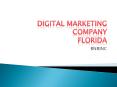 Digital Marketing Ageny Florida, Internet Marketing USA PowerPoint PPT Presentation