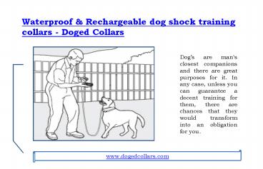 Waterproof & Rechargeable dog shock training collars - Doged Collars