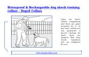 Waterproof & Rechargeable dog shock training collars - Doged Collars