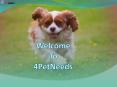 Dog Food Online Store in India PowerPoint PPT Presentation