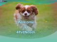 Dog Food Online Store in India (1) PowerPoint PPT Presentation