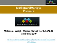 Molecular Weight Marker Market