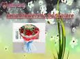 Send Fresh and Beautiful Flowers Online to Bangalore PowerPoint PPT Presentation