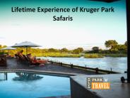 Lifetime Experience of Kruger Park Safaris