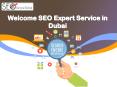 SEO Service in Dubai PowerPoint PPT Presentation
