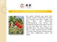 Buy Wholesale Goji Berry Food Products From China - BerryGoji.com