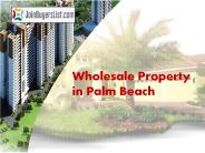 Wholesale Property in Palm Beach