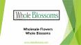 Wholesale Flowers – Whole Blossoms (2) PowerPoint PPT Presentation