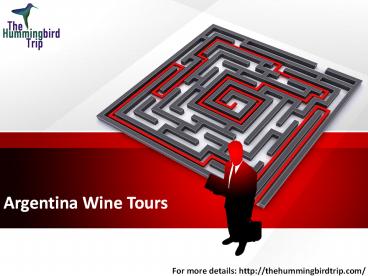 Argentina Wine Tours